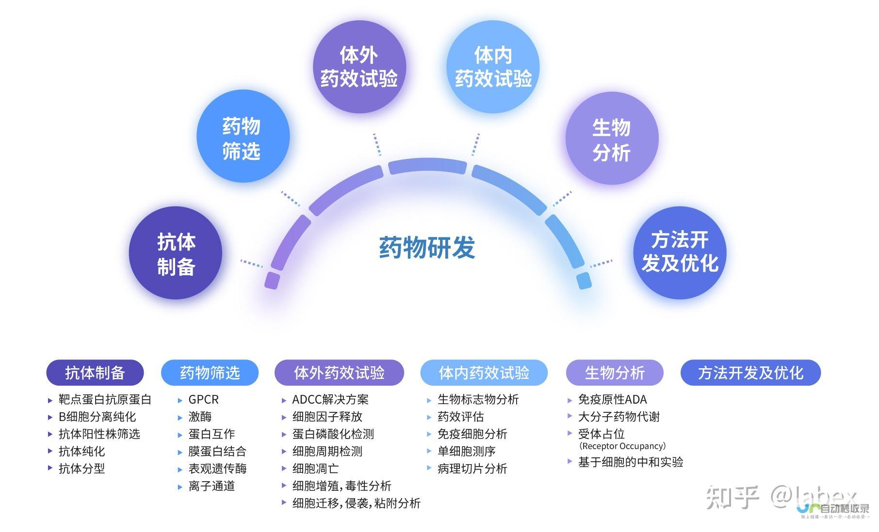 全方位网页制作技巧：提升您的网站设计和开发能力