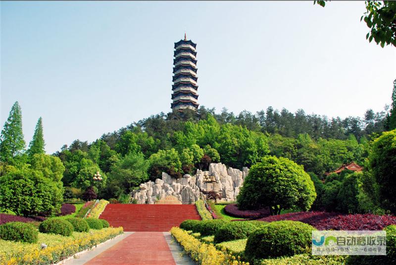 十堰地区网站建设服务，助力企业线上发展，提升品牌形象