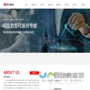 山东得川数智科技有限公司-公司首页